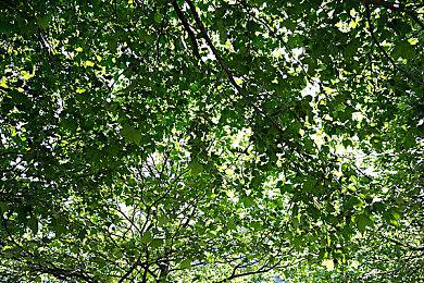 《野狗子》全新截图公布 诡异敌人以及女护士登场